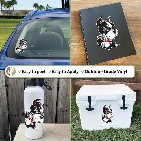 Desert Cactus Boston University Sticker Terriers BU Vinyl Decal Laptop Water Bottle Car Scrapbook (IND 17) in Saudi Arabia