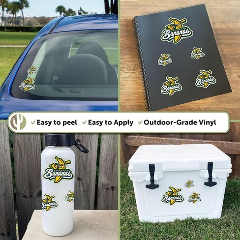 Desert Cactus Savannah Bananas Sticker Decal Vinyl Baseball Laptop Water Bottle Car Scrapbook (Type 3-1) in Saudi Arabia