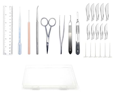 25 Piece Dissecting Kit Including Scissors, Forceps, Scalpel, Teasing Needle, and Probe in Plastic Case for Anatomy Lab, Biology, Medical Students, and General Dissection in Saudi Arabia