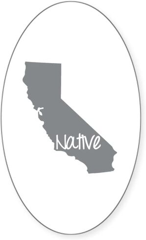 Cafepepress California Pride Ca Ca Oval Car Standser in Saudi Arabia