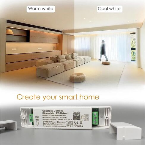 3.0 Slow Start 12W Slim Driver 200ma 300ma 350ma Tuya Control for CCT Light WW+CW Dimmable for Modules Room 9-40V Voltage (12W 150 to 300ma) in Kuwait