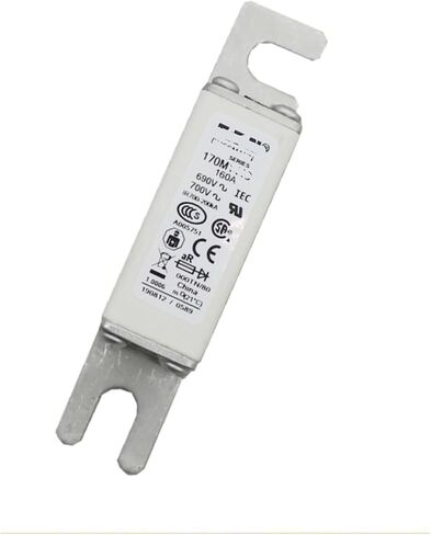 170M1560 Power Module Plug-in Fuse Component Fuse in Saudi Arabia