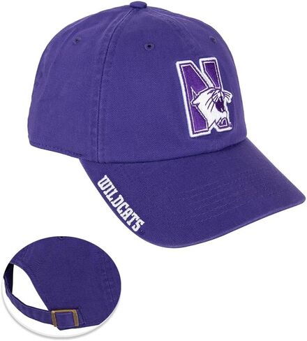 Desert Cactus Northwestern University Baseball Hat NU Wildcats Brimmed Embroirderd Hats Cap Adjustable Cloth Strap Adult (Style P) Purple in Saudi Arabia