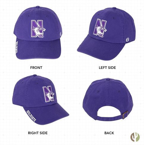 Desert Cactus Northwestern University Baseball Hat NU Wildcats Brimmed Embroirderd Hats Cap Adjustable Cloth Strap Adult (Style P) Purple in Saudi Arabia