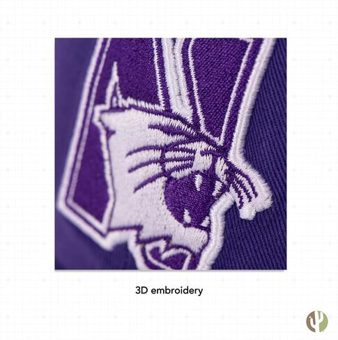 Desert Cactus Northwestern University Baseball Hat NU Wildcats Brimmed Embroirderd Hats Cap Adjustable Cloth Strap Adult (Style P) Purple in Saudi Arabia