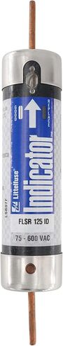 Littelfuse FLSR-125-ID Dual-Element Time-Delay Fuse, Class RK5, 600-Volt, 125-Amp in Saudi Arabia