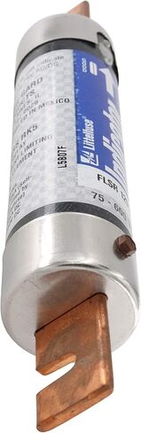 Littelfuse FLSR-125-ID Dual-Element Time-Delay Fuse, Class RK5, 600-Volt, 125-Amp in Saudi Arabia