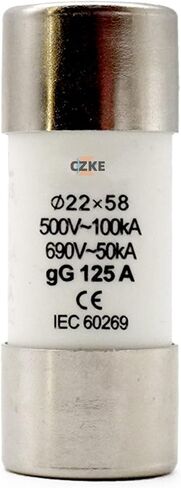 Scruby AC 500V RO16 Fast Blow Ceramic Fuse Link RT18-63 14x51 GG Cutout 2A 4A 6A 10A 16A 20A 25A 32A 63A 20PCS (50a) in Saudi Arabia