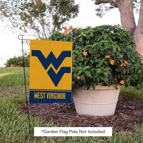 Desert Cactus West Virginia University WVU Garden Flag - 19 × 12 بوصة في فرجينيا الغربية لافتة الجبال ، للعرض في الهواء الطلق والأحداث (التصميم ب) in Saudi Arabia