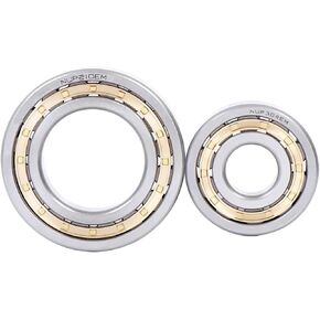 NUP216 217 218 219 220 221 EM. محمل الأسطوانة الأسطوانية (NUP220EM) in Kuwait