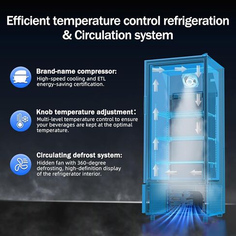 6.5 Cu.Ft Commercial Beverage Refrigerator Glass Door Upright Drink Cooler Display Fridge with Adjustable Shelves and LED Light for Restaurant Bar Store Office in Kuwait