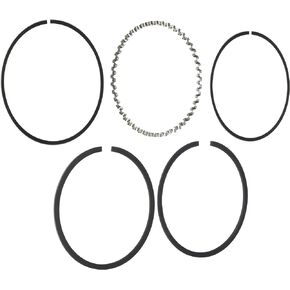 Sealed Power Federal-Mogul (E243K60) Engine Piston Ring