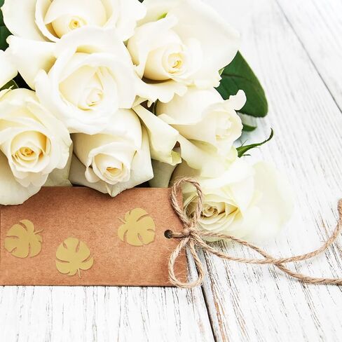 Whaline 500Pcs Gold Foil Monstera Stickers Self-Adhesive Monstera Leaves Seal Stickers Tropical Plant Leaf Label Decals for Greeting Invitation Cards Envelope Sealing Birthday Gift Wrapping Supplies in Kuwait