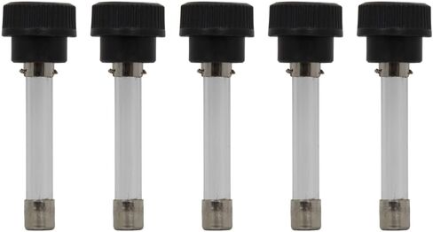 Bussmann GLR 2 Buss Fuses 300V GLR2 (Pack of 5) in Saudi Arabia
