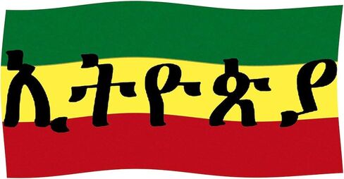 CafePress Ethiopia Flag Lion of Judah Rasta Reggae Sticker Oval Car Bumper Sticker in Saudi Arabia