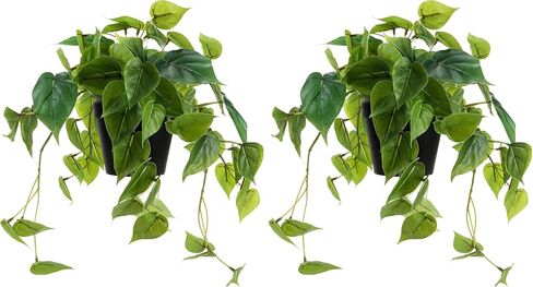LuckyGreenery 2 حزمة من نباتات Scindapsus Aureus الاصطناعية، نباتات وهمية واقعية مع وعاء بلاستيكي للمنزل والمكتب وغرفة النوم والديكور الداخلي والخارجي (8 بوصات ارتفاع) in Kuwait
