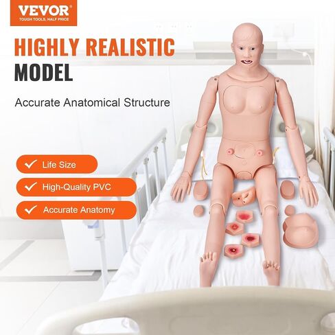 VEVOR قزم التمريض، محاكاة عالية 65 بوصة/165 سم بالحجم الطبيعي، أنواع مختلفة للتمريض، عارضة أزياء للتدريب على التمريض من مادة PVC للذكور/الإناث مع مجموعة تدريب IV، لممارسة التدريب على مهارات التمريض الاحترافية in Kuwait