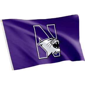 Desert Cactus Northwestern University Nu Flag - 3 × 5 أقدام لافتة Wildcats ، نسيج متين داخلي/خارجي ، تصميم البوليستر بنسبة 100 ٪ (النمط 5) in Saudi Arabia
