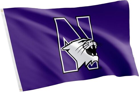 Desert Cactus Northwestern University NU Flag - 3 x 5 Feet Wildcats Banner, Indoor/Outdoor Durable Fabric, 100% Polyester Design (Style 5) in Saudi Arabia