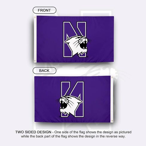 Desert Cactus Northwestern University NU Flag - 3 x 5 Feet Wildcats Banner, Indoor/Outdoor Durable Fabric, 100% Polyester Design (Style 5) in Saudi Arabia