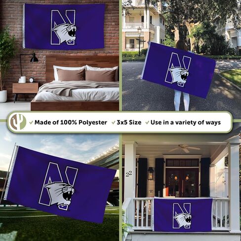 Desert Cactus Northwestern University NU Flag - 3 x 5 Feet Wildcats Banner, Indoor/Outdoor Durable Fabric, 100% Polyester Design (Style 5) in Saudi Arabia