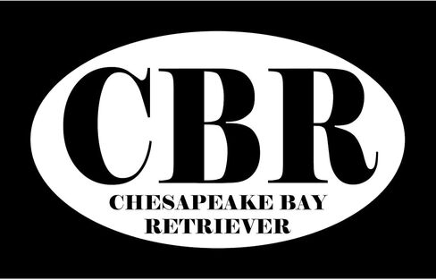 CafePress CBR Abbreviation Chesapeake Bay Retriever Sticker Oval Car Bumper Sticker in Saudi Arabia
