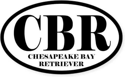 CafePress CBR Abbreviation Chesapeake Bay Retriever Sticker Oval Car Bumper Sticker in Saudi Arabia