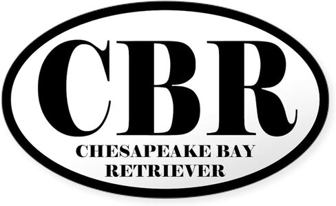Cafepress CBR الاختصار Chesapeake Bay Retriever Sticker Oval Car Sticker in Saudi Arabia