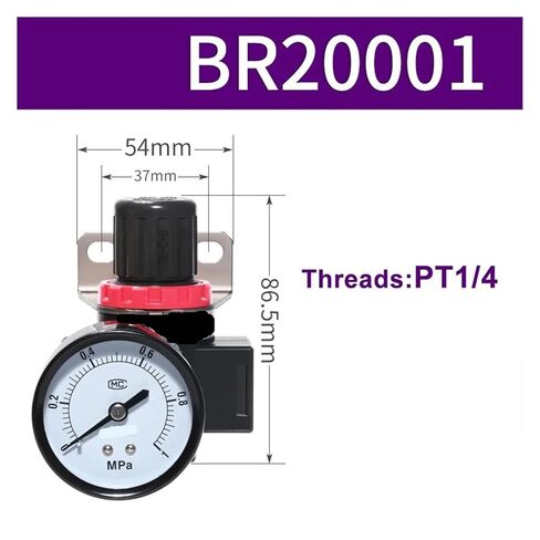 Air Source Processor Pressure Regulating Filter Oil-Water Separation Filter(BFC2000 A1) in Kuwait