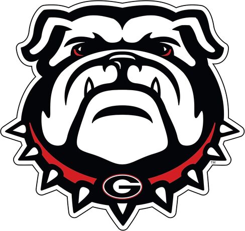 Georgia Bulldog Extra Die Die Cut Vinyl Scal ، New Bulldog Head ، Cornhole in Saudi Arabia