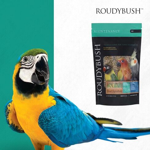 Roudybush Daily Maintenance Bird Food, Mini, 44-Ounce in Saudi Arabia