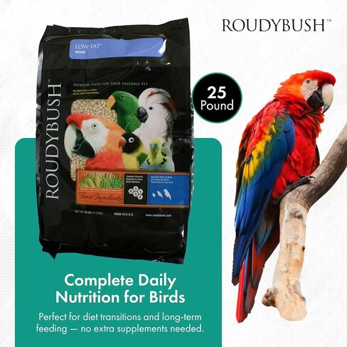 Roudybush Daily Maintenance Bird Food, Mini, 44-Ounce in Saudi Arabia