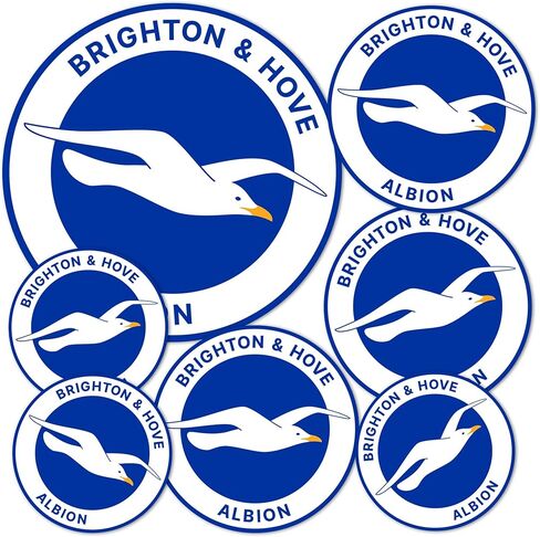 Desert Cactus Brighton & Hove Albion Sticker Bhafc Seagulls نادي كرة القدم شارات الفينيل المحمول زجاجة ماء القرص السياري الرسمي مروحة المروحة T3 (النوع 3-1) in Saudi Arabia