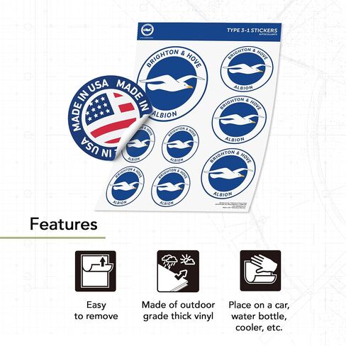 Desert Cactus Brighton & Hove Albion Sticker Bhafc Seagulls نادي كرة القدم شارات الفينيل المحمول زجاجة ماء القرص السياري الرسمي مروحة المروحة T3 (النوع 3-1) in Saudi Arabia