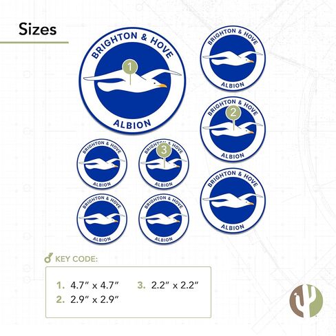 Desert Cactus Brighton & Hove Albion Sticker Bhafc Seagulls نادي كرة القدم شارات الفينيل المحمول زجاجة ماء القرص السياري الرسمي مروحة المروحة T3 (النوع 3-1) in Saudi Arabia