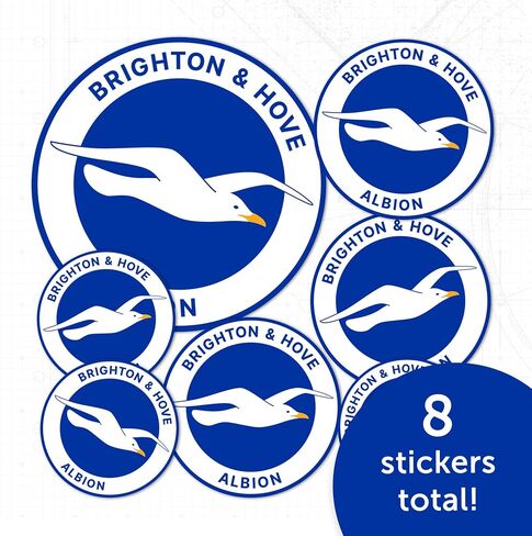 Desert Cactus Brighton & Hove Albion Sticker Bhafc Seagulls نادي كرة القدم شارات الفينيل المحمول زجاجة ماء القرص السياري الرسمي مروحة المروحة T3 (النوع 3-1) in Saudi Arabia