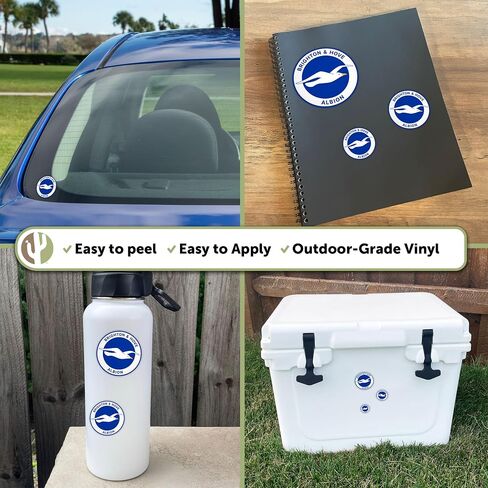 Desert Cactus Brighton & Hove Albion Sticker Bhafc Seagulls نادي كرة القدم شارات الفينيل المحمول زجاجة ماء القرص السياري الرسمي مروحة المروحة T3 (النوع 3-1) in Saudi Arabia
