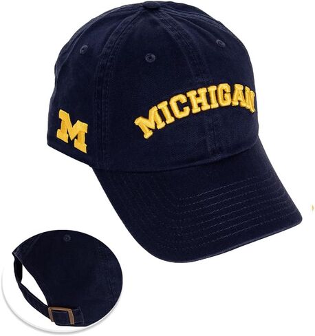 Desert Cactus University Michigan Baseball Hat Wolverines um u of m hats brimmed servidered hats cap cap abled strap come (style e1) blue in Kuwait