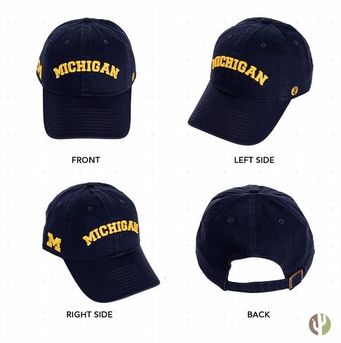 Desert Cactus University Michigan Baseball Hat Wolverines um u of m hats brimmed servidered hats cap cap abled strap come (style e1) blue in Kuwait