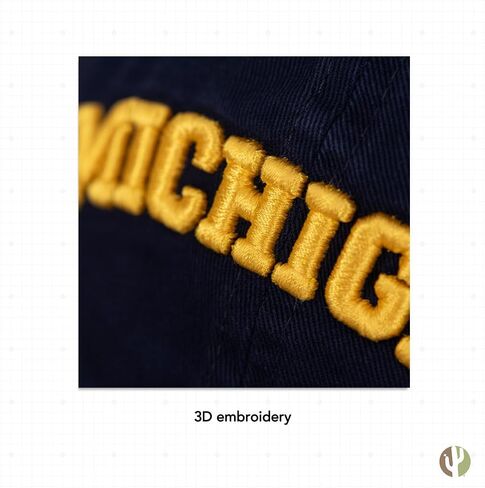 Desert Cactus University Michigan Baseball Hat Wolverines um u of m hats brimmed servidered hats cap cap abled strap come (style e1) blue in Kuwait