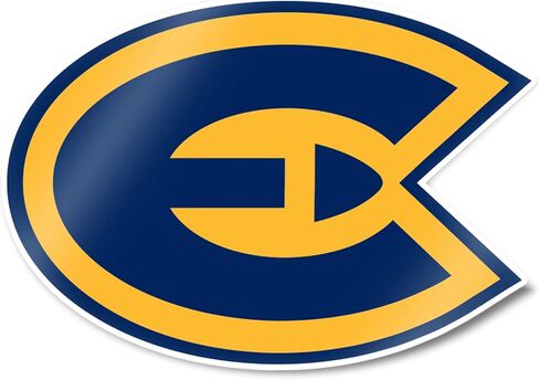 Desert Cactus University of Wisconsin Eau Claire UWEC Blugolds Vinyl Decal Laptop Water Bottle Car Scrapbook Sticker (IND 00001) in Saudi Arabia