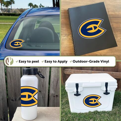 Desert Cactus University of Wisconsin Eau Claire UWEC Blugolds Vinyl Decal Laptop Water Bottle Car Scrapbook Sticker (IND 00001) in Saudi Arabia