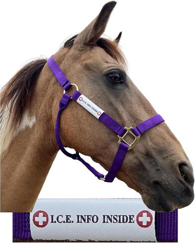 I.C.E. Halter ID Wraps Around a Flat or Rope Halter and Provides Your Emergency Contact Info to First Responder. Ideal for Everyday Use as Well as for Natural Disaster Preparation in Saudi Arabia