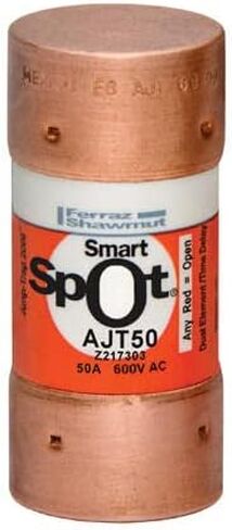 Ferraz Shawmut/Mersen ، AJT50 ، J TD Fuse 600V 50A AJT in Kuwait
