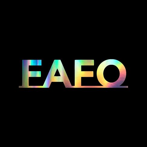 FAFO Decal Vinyl Sticker Auto Car Truck Wall Laptop | Holographic | 5.5" x 1.5" in Saudi Arabia