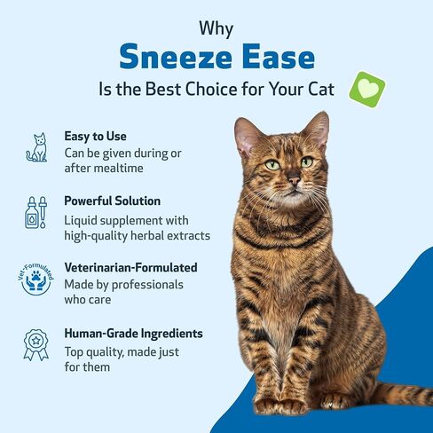 Pet Wellbeing Nettle-Eyebright Gold للقطط - تركيبة بيطرية - الحساسية الموسمية، حمى القش، التهاب الأنف التحسسي - مكمل عشبي طبيعي 2 أونصة (59 مل) in Kuwait