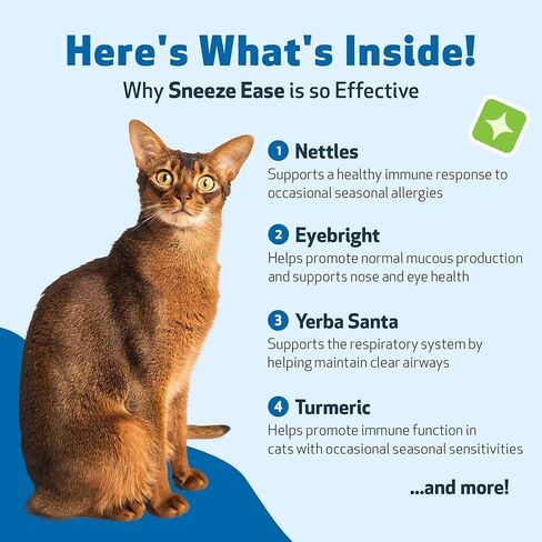 Pet Wellbeing Nettle-Eyebright Gold للقطط - تركيبة بيطرية - الحساسية الموسمية، حمى القش، التهاب الأنف التحسسي - مكمل عشبي طبيعي 2 أونصة (59 مل) in Kuwait