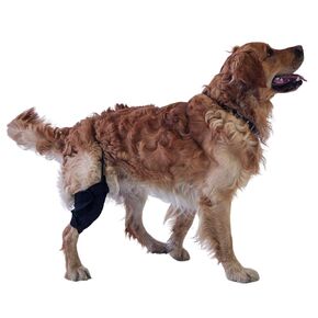 Knee Brace for Dogs with ACL (M Right)
