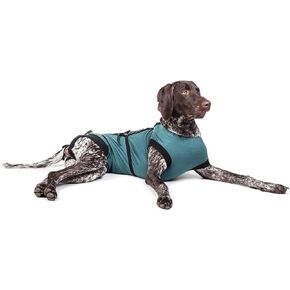 E-Collar Alternative for Cats and Dogs: After Surgey Wear. Recommended by Vets (XX-Large, Bottle Green)