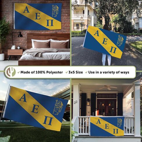 Desert Cactus Alpha Epsilon Pi Flag Chapter Fraternity 3x5 feet Polyester Banner Sign Decor aepi in Saudi Arabia